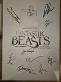 Guión Animales fantásticos y donde encontrarlos